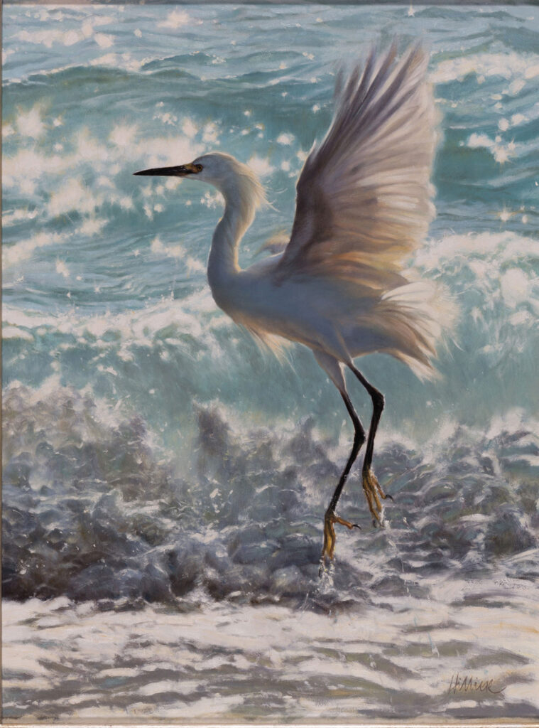 A white egret with wings extended stands at the ocean’s edge as waves crash behind it in bright sunlight—an inspiring moment from the Wildlife Gallery, celebrating nature’s beauty with Earth & Humanity Foundation.