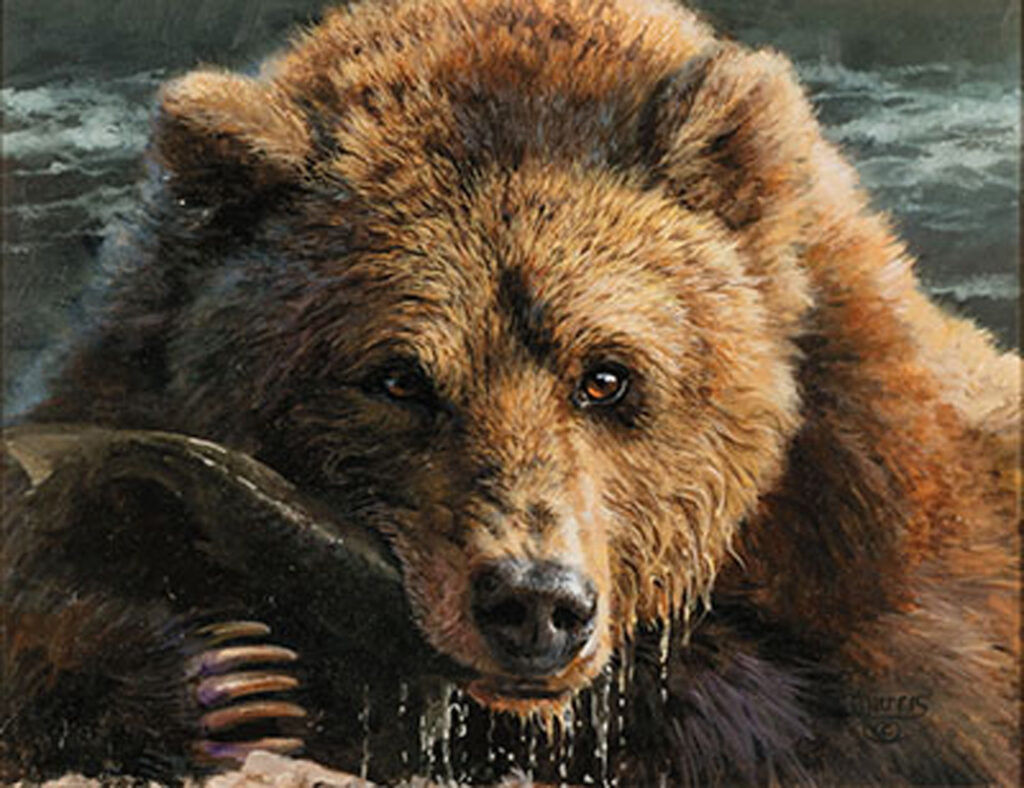 A brown bear with wet fur holds a fish in its mouth while looking directly at the viewer, set against a watery backdrop—a captivating moment from the Wildlife Gallery presented by Earth Foundation.
