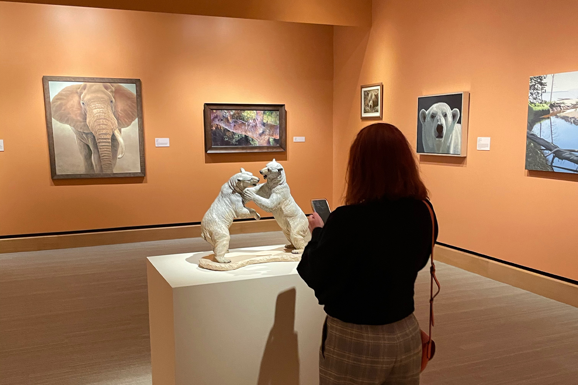 A woman looking at a statue of bears in a museum, surrounded by displays of endangered birds.