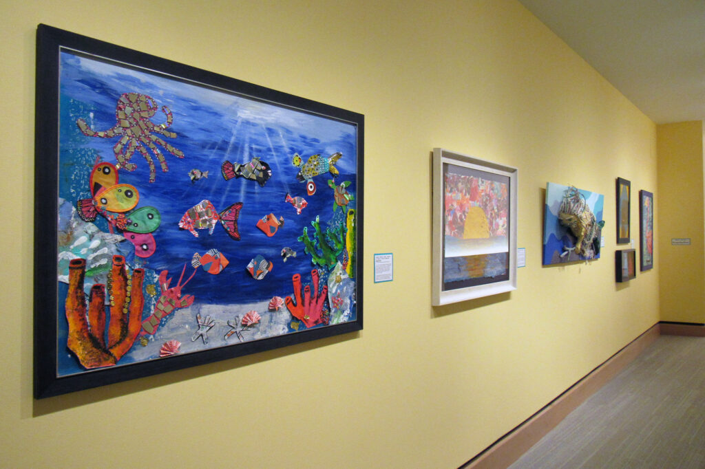 A gallery wall with several framed artworks, including an underwater scene with sea creatures and coral in the foreground, alongside vibrant illustrations of endangered birds, displayed on a yellow wall.