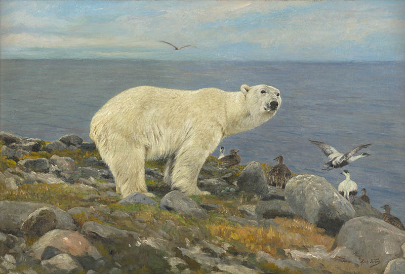A polar bear stands on a rocky Arctic shoreline surrounded by seabirds, embodying the raw wilderness and survival of the fittest, with the ocean and a cloudy sky in the background.