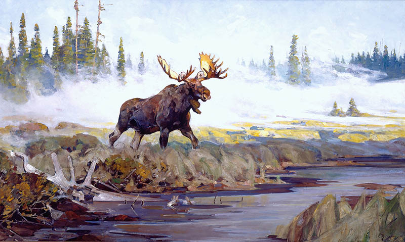A moose with large antlers stands near the edge of a stream in a misty, forested wilderness, embodying the spirit of wildlife and survival of the fittest among trees shrouded in fog.