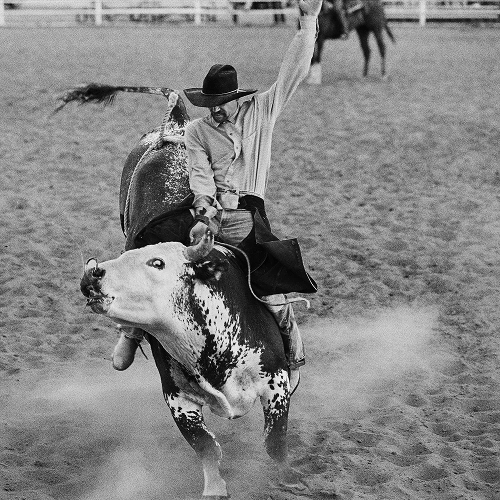 A rodeo rider wearing a hat and chaps rides a bucking bull in a sandy arena, raising one arm for balance—a scene reminiscent of Blake Little’s striking photographs of the Gay Rodeo.