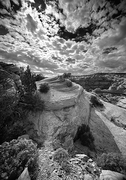 Black and white photo of a rugged desert landscape with rocky formations, scattered shrubs, and a dramatic cloudy sky overhead—evoking the spirit of America the Beautiful in a style reminiscent of Clyde Butcher.