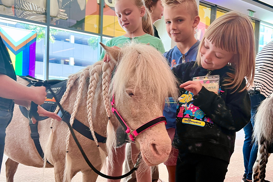 Three children in a family program pet a small, light-colored horse with braided hair indoors. The horse wears a pink halter and harness while one child looks at a badge.