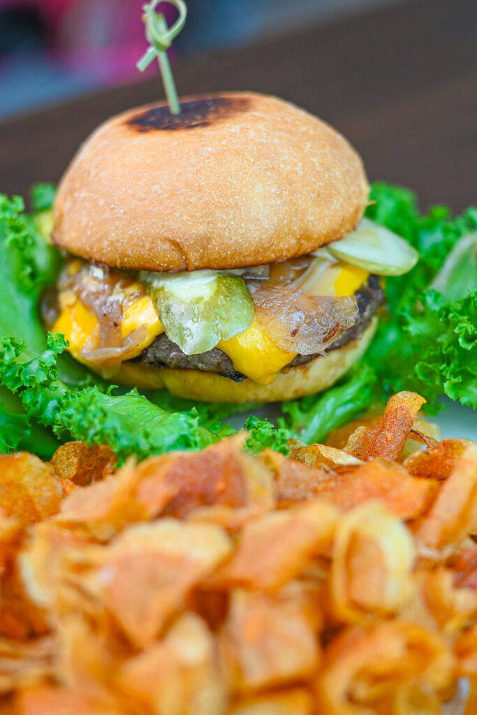 Bison burger on a plate with lettuce and chips.