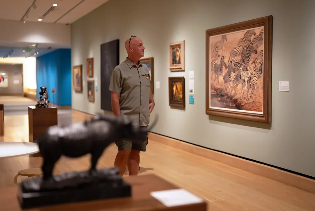 A man in casual attire observes a framed painting of zebras in an art gallery, with a rhinoceros sculpture in the foreground.