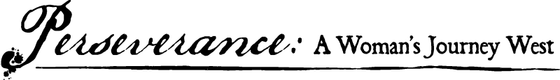 Perseverance-Logo_Black_Hori_Underline