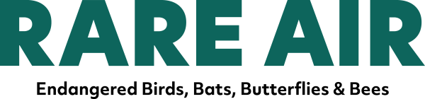 Rare-Air-Logo_Deep-Green_Hori_RGB Rare-Air-Logo_Deep-Green_Hori_RGB